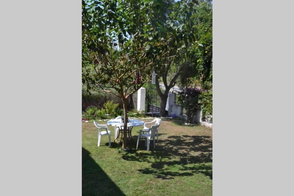 Beach House Into The Green! Prévéza Extérieur photo