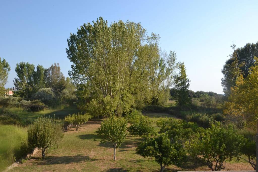 Beach House Into The Green! Prévéza Extérieur photo
