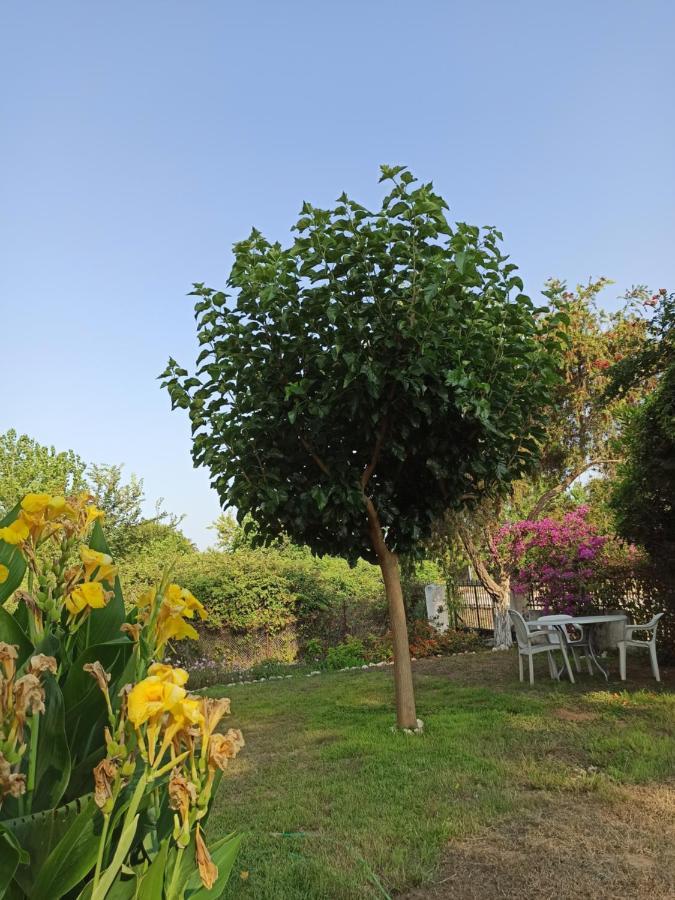 Beach House Into The Green! Prévéza Extérieur photo